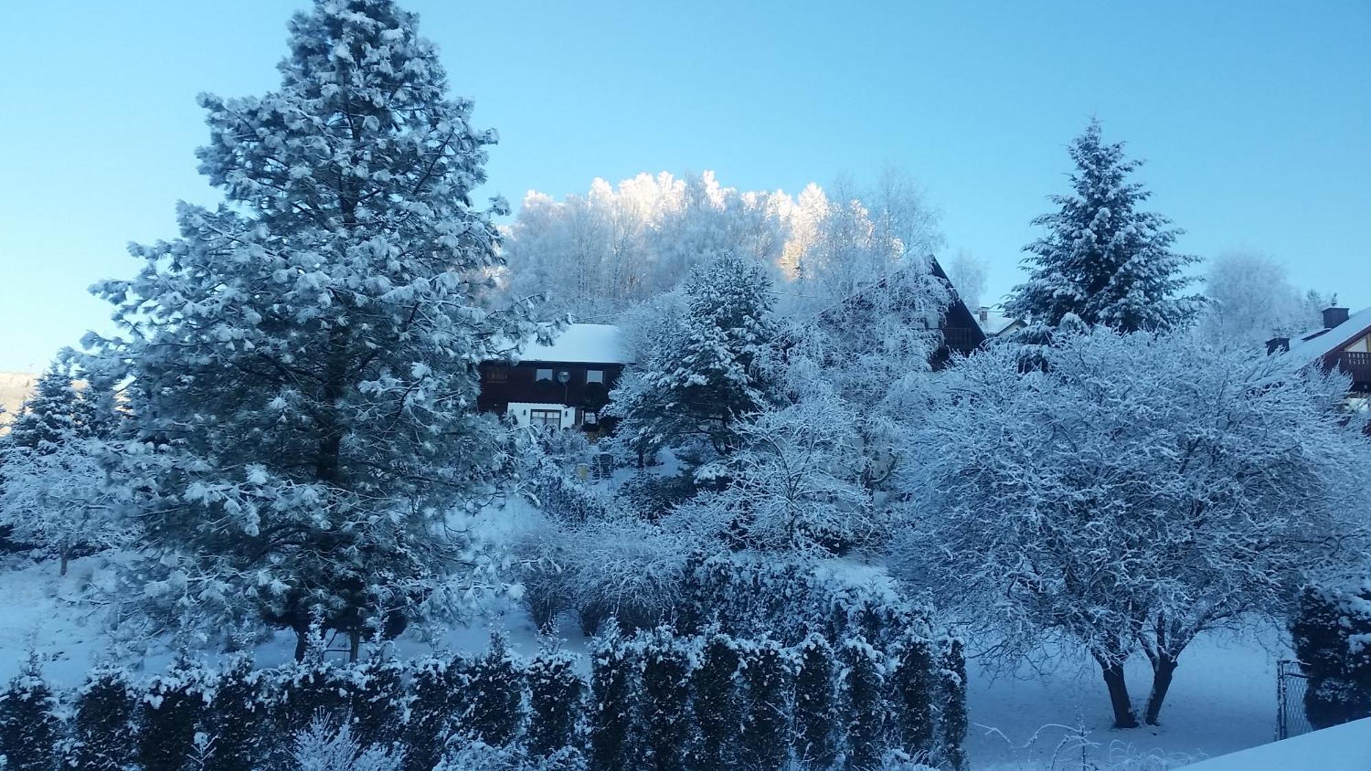 Bialy Domek Lägenhet Wisła Exteriör bild